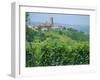 Vines in Vineyards Around Barbaresco, the Langhe, Piemonte (Piedmont), Italy, Europe-Sheila Terry-Framed Photographic Print