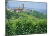 Vines in Vineyards Around Barbaresco, the Langhe, Piemonte (Piedmont), Italy, Europe-Sheila Terry-Mounted Photographic Print