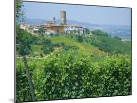 Vines in Vineyards Around Barbaresco, the Langhe, Piemonte (Piedmont), Italy, Europe-Sheila Terry-Mounted Photographic Print