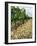 Vines of Chateau Mont-Redon, Chateauneuf-Du-Pape, Vaucluse, Provence, France-Per Karlsson-Framed Photographic Print