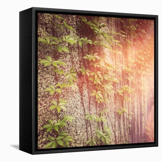 Vines on Wall-melking-Framed Stretched Canvas