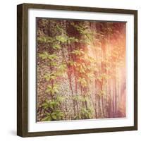 Vines on Wall-melking-Framed Photographic Print