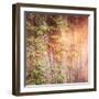 Vines on Wall-melking-Framed Photographic Print