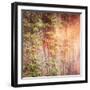 Vines on Wall-melking-Framed Photographic Print