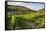 Vineyard Above Zell, Moselle Valley, Rhineland-Palatinate, Germany, Europe-Michael Runkel-Framed Stretched Canvas