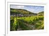 Vineyard Above Zell, Moselle Valley, Rhineland-Palatinate, Germany, Europe-Michael Runkel-Framed Photographic Print