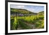 Vineyard Above Zell, Moselle Valley, Rhineland-Palatinate, Germany, Europe-Michael Runkel-Framed Photographic Print