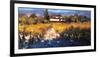 Vineyard Afternoon-Philip Craig-Framed Giclee Print