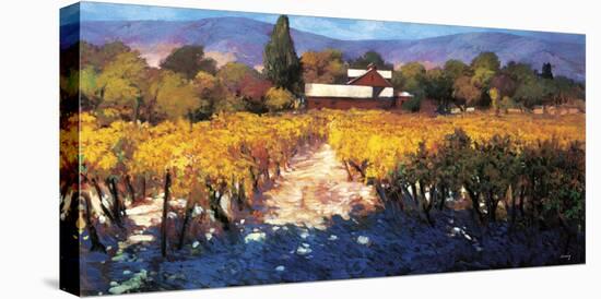 Vineyard Afternoon-Philip Craig-Stretched Canvas