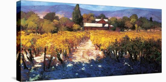 Vineyard Afternoon-Philip Craig-Stretched Canvas