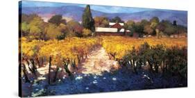 Vineyard Afternoon-Philip Craig-Stretched Canvas