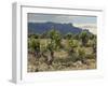 Vineyard along the San Vicente to Banos de Ebro Road, La Rioja, Spain-Janis Miglavs-Framed Photographic Print