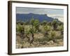 Vineyard along the San Vicente to Banos de Ebro Road, La Rioja, Spain-Janis Miglavs-Framed Photographic Print