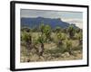 Vineyard along the San Vicente to Banos de Ebro Road, La Rioja, Spain-Janis Miglavs-Framed Photographic Print