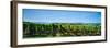 Vineyard, Alsace, France-null-Framed Photographic Print