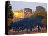 Vineyard and Building of Chateau La Nerthe, Chateauneuf-Du-Pape, Vaucluse, Rhone, Provence, France-Per Karlsson-Stretched Canvas