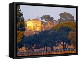 Vineyard and Building of Chateau La Nerthe, Chateauneuf-Du-Pape, Vaucluse, Rhone, Provence, France-Per Karlsson-Framed Stretched Canvas