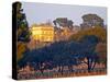 Vineyard and Building of Chateau La Nerthe, Chateauneuf-Du-Pape, Vaucluse, Rhone, Provence, France-Per Karlsson-Stretched Canvas