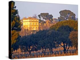 Vineyard and Building of Chateau La Nerthe, Chateauneuf-Du-Pape, Vaucluse, Rhone, Provence, France-Per Karlsson-Stretched Canvas