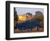 Vineyard and Building of Chateau La Nerthe, Chateauneuf-Du-Pape, Vaucluse, Rhone, Provence, France-Per Karlsson-Framed Photographic Print