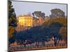 Vineyard and Building of Chateau La Nerthe, Chateauneuf-Du-Pape, Vaucluse, Rhone, Provence, France-Per Karlsson-Mounted Photographic Print