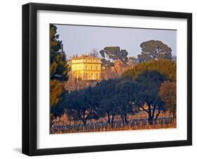 Vineyard and Building of Chateau La Nerthe, Chateauneuf-Du-Pape, Vaucluse, Rhone, Provence, France-Per Karlsson-Framed Photographic Print