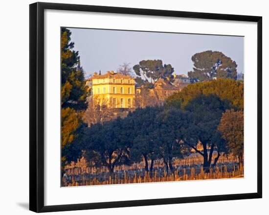 Vineyard and Building of Chateau La Nerthe, Chateauneuf-Du-Pape, Vaucluse, Rhone, Provence, France-Per Karlsson-Framed Photographic Print