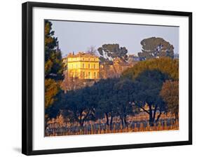 Vineyard and Building of Chateau La Nerthe, Chateauneuf-Du-Pape, Vaucluse, Rhone, Provence, France-Per Karlsson-Framed Photographic Print