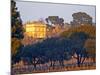 Vineyard and Building of Chateau La Nerthe, Chateauneuf-Du-Pape, Vaucluse, Rhone, Provence, France-Per Karlsson-Mounted Photographic Print