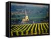 Vineyard and Church, Ville Dommange, Champagne, France-John Miller-Framed Stretched Canvas