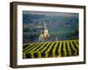 Vineyard and Church, Ville Dommange, Champagne, France-John Miller-Framed Photographic Print