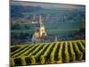 Vineyard and Church, Ville Dommange, Champagne, France-John Miller-Mounted Photographic Print