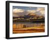 Vineyard and Lake Wanaka, Wanaka, Central Otago, South Island, New Zealand, Pacific-Jochen Schlenker-Framed Photographic Print