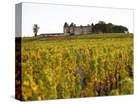 Vineyard and Medieval Chateau, Choteau d'Yquem, Sauternes, Bordeaux, Gironde, France-Per Karlsson-Stretched Canvas