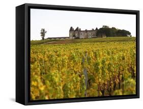 Vineyard and Medieval Chateau, Choteau d'Yquem, Sauternes, Bordeaux, Gironde, France-Per Karlsson-Framed Stretched Canvas