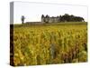 Vineyard and Medieval Chateau, Choteau d'Yquem, Sauternes, Bordeaux, Gironde, France-Per Karlsson-Stretched Canvas