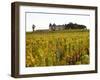 Vineyard and Medieval Chateau, Choteau d'Yquem, Sauternes, Bordeaux, Gironde, France-Per Karlsson-Framed Premium Photographic Print