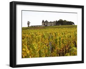 Vineyard and Medieval Chateau, Choteau d'Yquem, Sauternes, Bordeaux, Gironde, France-Per Karlsson-Framed Premium Photographic Print