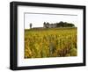 Vineyard and Medieval Chateau, Choteau d'Yquem, Sauternes, Bordeaux, Gironde, France-Per Karlsson-Framed Photographic Print