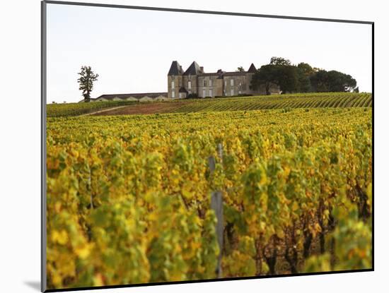 Vineyard and Medieval Chateau, Choteau d'Yquem, Sauternes, Bordeaux, Gironde, France-Per Karlsson-Mounted Photographic Print