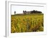 Vineyard and Medieval Chateau, Choteau d'Yquem, Sauternes, Bordeaux, Gironde, France-Per Karlsson-Framed Photographic Print