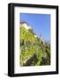 Vineyard and Military Church in Wei�nkirchen, Austria-Volker Preusser-Framed Photographic Print