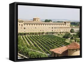 Vineyard and Monastery, Olite, Navarra, Euskadi, Spain-Christian Kober-Framed Stretched Canvas