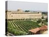 Vineyard and Monastery, Olite, Navarra, Euskadi, Spain-Christian Kober-Stretched Canvas