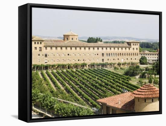 Vineyard and Monastery, Olite, Navarra, Euskadi, Spain-Christian Kober-Framed Stretched Canvas