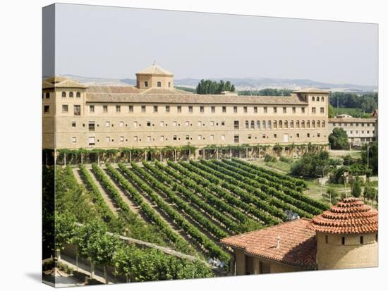 Vineyard and Monastery, Olite, Navarra, Euskadi, Spain-Christian Kober-Stretched Canvas