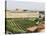 Vineyard and Monastery, Olite, Navarra, Euskadi, Spain-Christian Kober-Stretched Canvas