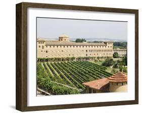 Vineyard and Monastery, Olite, Navarra, Euskadi, Spain-Christian Kober-Framed Photographic Print