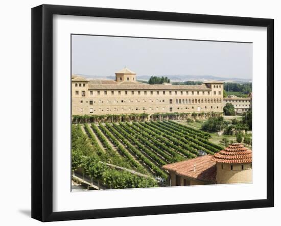 Vineyard and Monastery, Olite, Navarra, Euskadi, Spain-Christian Kober-Framed Photographic Print