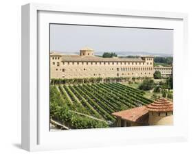 Vineyard and Monastery, Olite, Navarra, Euskadi, Spain-Christian Kober-Framed Photographic Print